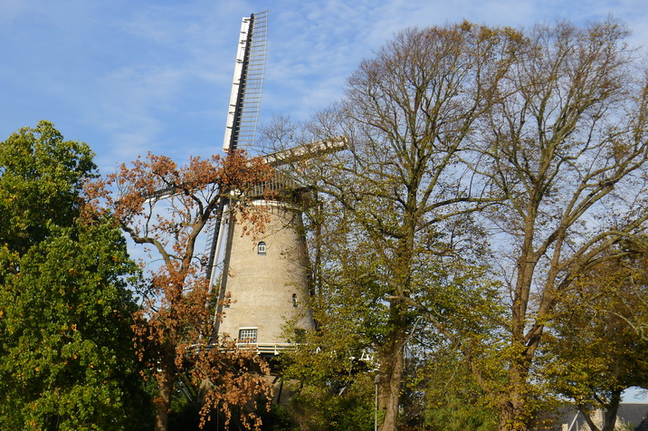 Windmill2.JPG