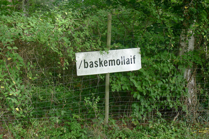 BaskemoellaIF.JPG