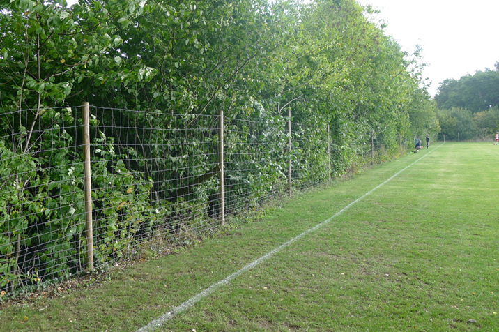 East-side.JPG