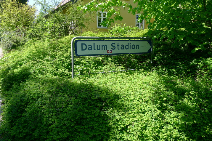 Dalum-Stadion.JPG