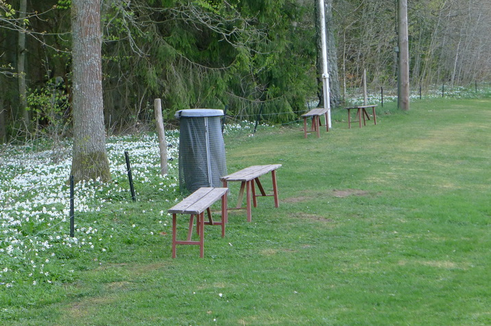 West-side-benches.JPG