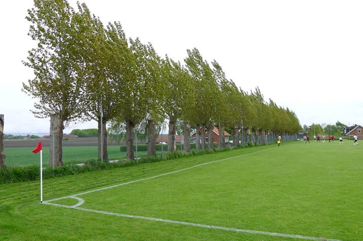 North-side.JPG