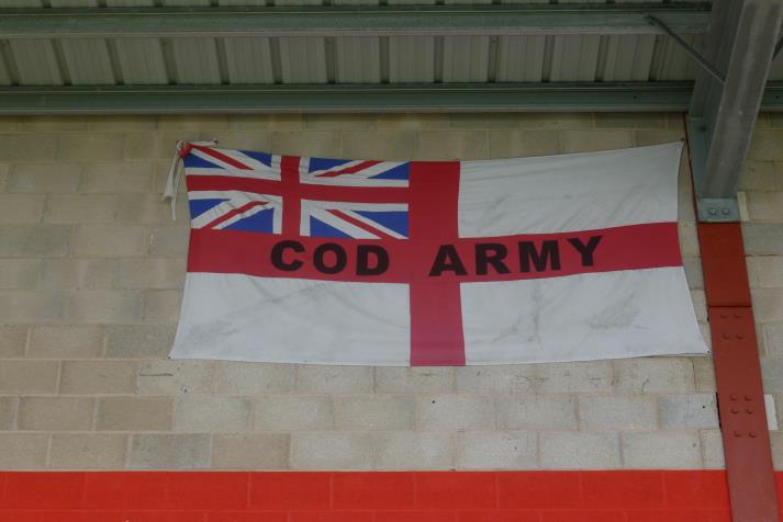 flag, cod army