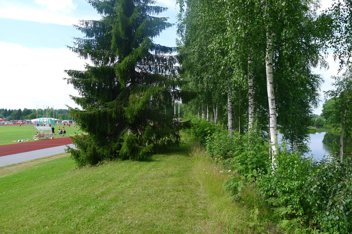 Next-to-the-river.JPG