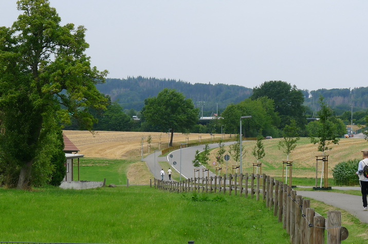 Rural-ground.JPG